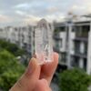 Brazilian Lemurian BLM81 2