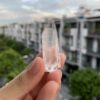 Brazilian Lemurian BLM81 3