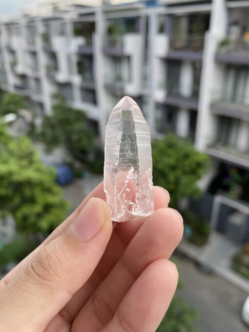 Brazilian Lemurian BLM81 6