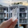 Brazilian Lemurian BLM82 1