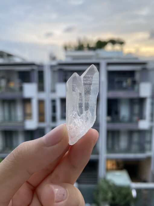 Brazilian Lemurian BLM82 1