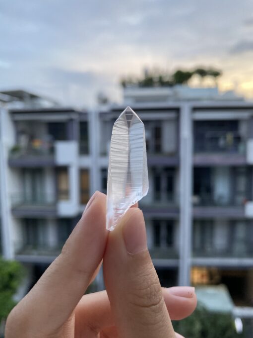 Brazilian Lemurian BLM83 1