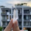 Brazilian Lemurian BLM83 1
