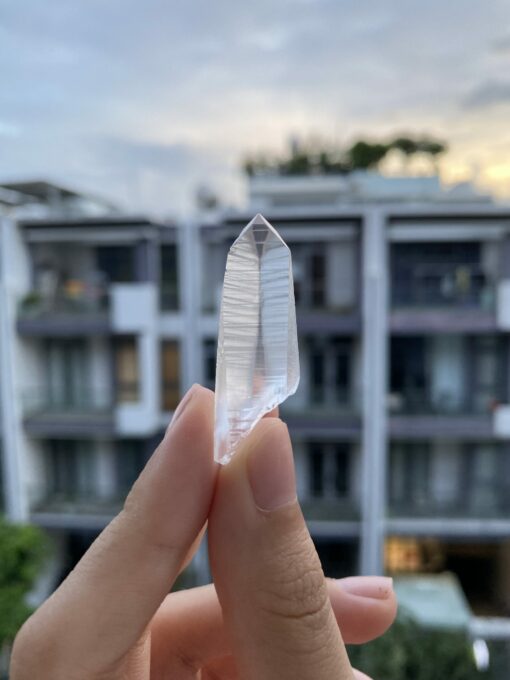 Brazilian Lemurian BLM83 1