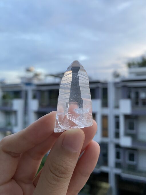 Brazilian Lemurian BLM84 1