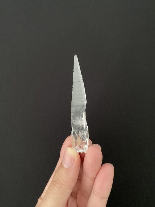 Brazilian Lemurian BLM86 1