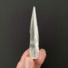 Brazilian Lemurian BLM86 2