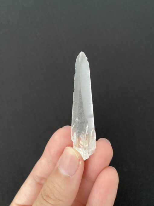 Brazilian Lemurian BLM88 1