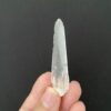 Brazilian Lemurian BLM88 1