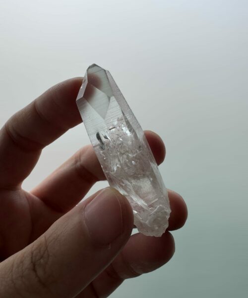 BLM89 Brazilian Lemuan seed 2