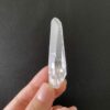 Lemurian dáng tuyệt đẹp - BLM90