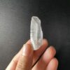 Brazilian Lemurian BLM91 4