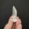 Brazilian Lemurian BLM91 5