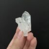 Brazilian Lemurian BLM92 1