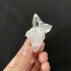 Brazilian Lemurian BLM92 2