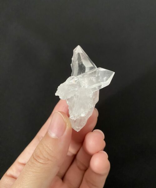 Brazilian Lemurian BLM92 2