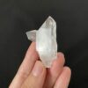 Brazilian Lemurian BLM92 5
