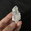 Brazilian Lemurian BLM92 7