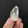 Brazilian Lemurian BLM94 2