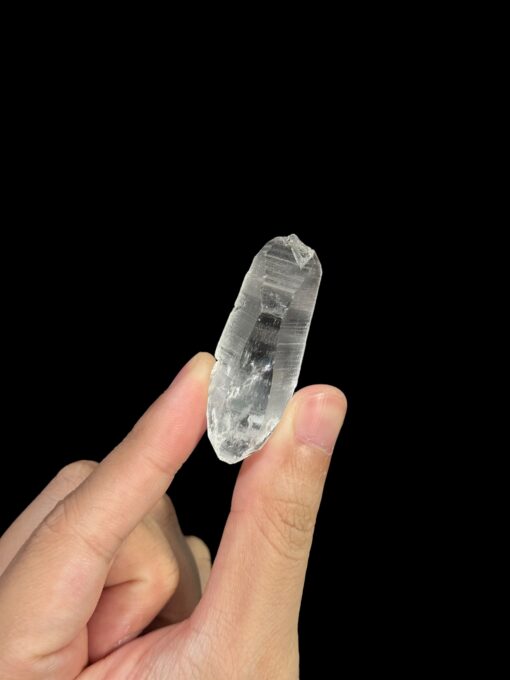 Brazilian Lemurian - BLM97 4