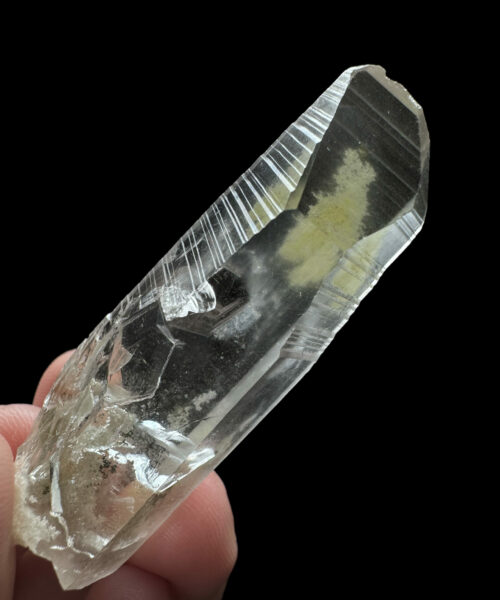 Brazilian Lemruain BLM95 - 2