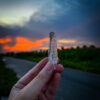 Brazilian Lemurian - BLM71 4