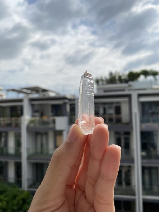 Brazilian Lemurian BLM79 1