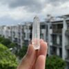 Brazilian Lemurian BLM79 2