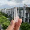 Brazilian Lemurian BLM79 3