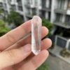 Brazilian Lemurian BLM79 4