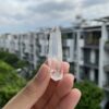 Brazilian Lemurian BLM79 5