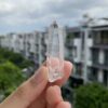 Brazilian Lemurian BLM79 6