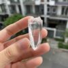 Brazilian Lemurian BLM80 4