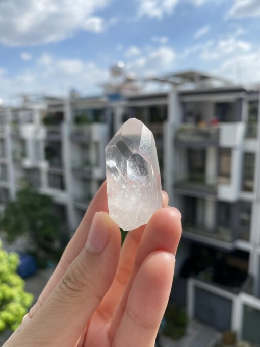 Brazilian Lemurian BLM85 1