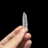 Brazilian Lemurian BLM96 2