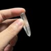 Brazilian Lemurian BLM96 4
