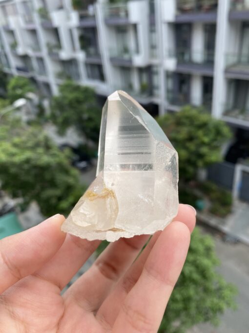 Lemurian Lào 1