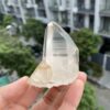 Lemurian Lào 1