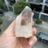 Lemurian Lào 3