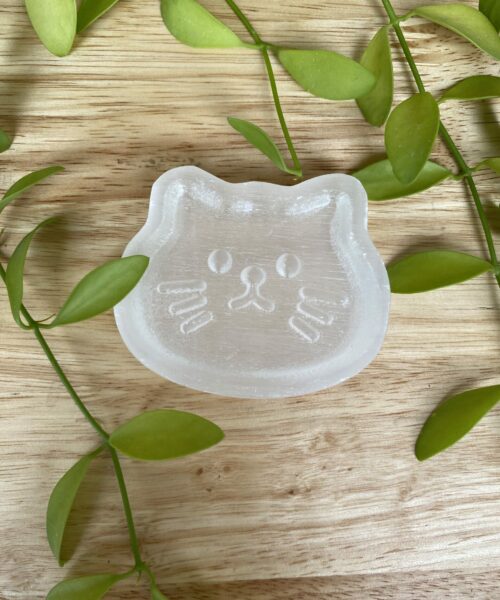 Chén Selenite mèo 1