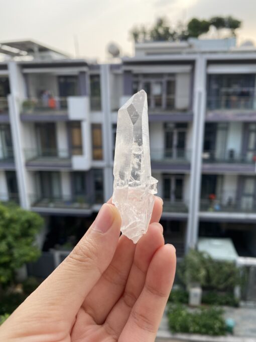 Brazilian Lemurian BLM103 1