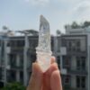 Brazilian Lemurian BLM103 2