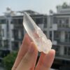 Brazilian Lemurian BLM103 3