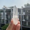 Brazilian Lemurian BLM103 4