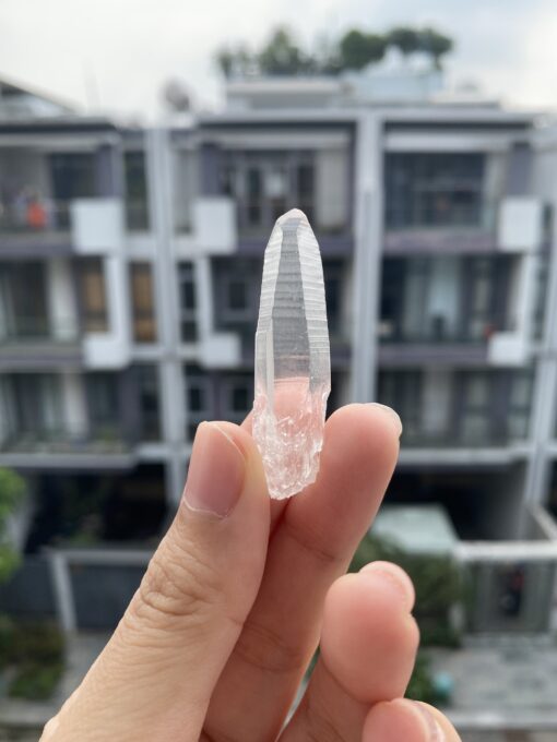 Brazilian Lemurian BLM104 1