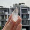 Brazilian Lemurian - BLM106 3