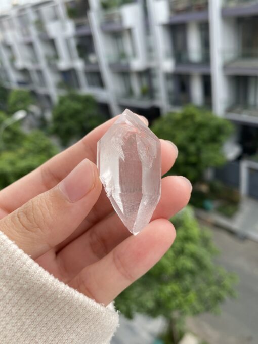 Lemurian hai đầu kết thúc - BLM106