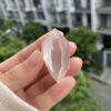 Lemurian hai đầu kết thúc - BLM106