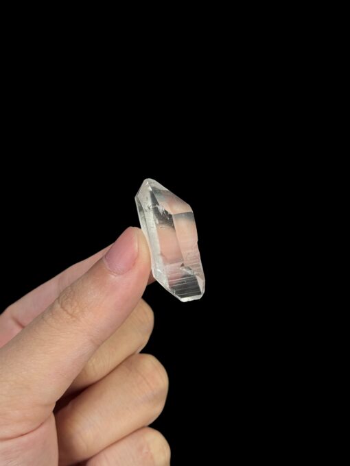 Hai đầu kết thúc - Brazilian Lemurian BLM100