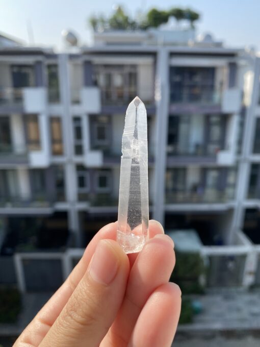 Brazilian Lemurian BLM101 1